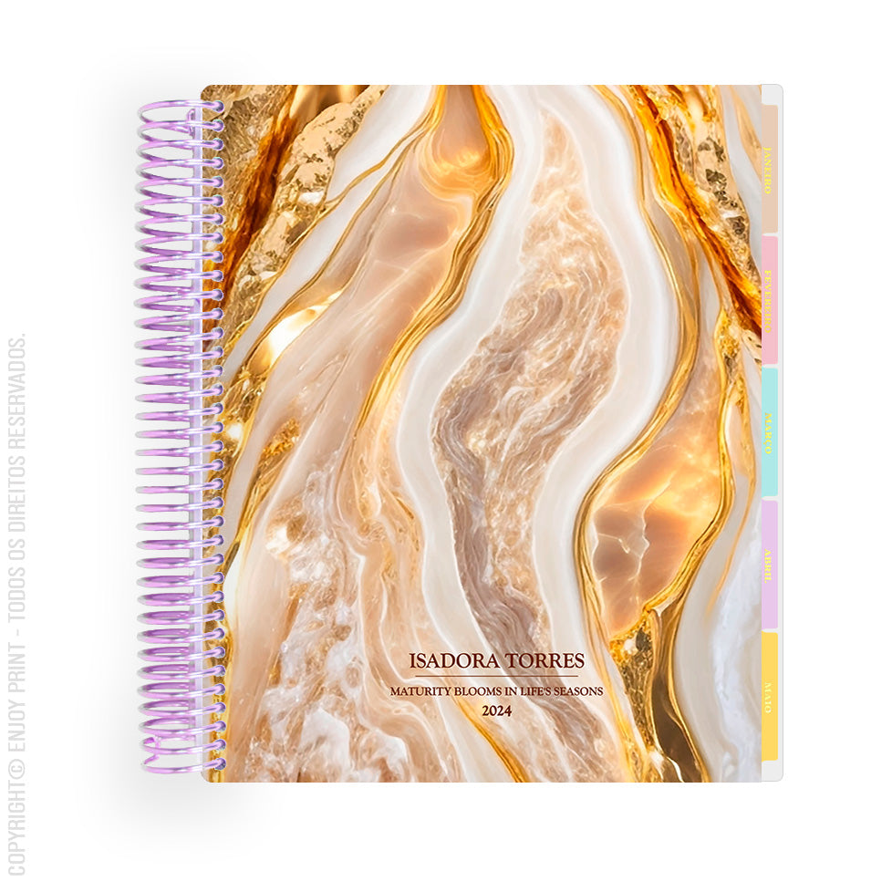 Enjoy Planner 2024 - Splendor Gold (planner com acessórios grátis - vai com + de 700 adesivos, régua, 2 blocos de notas e elástico).