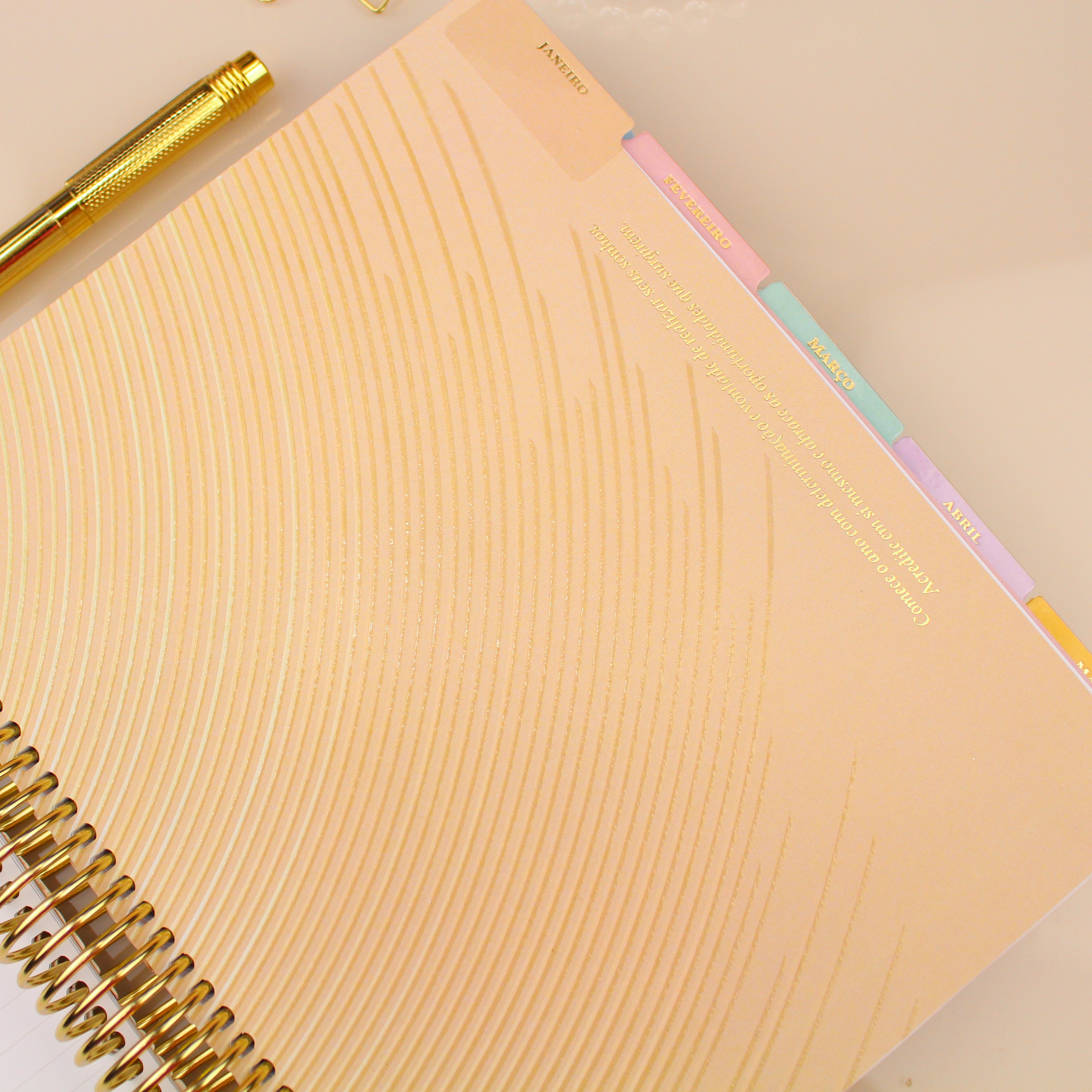 Enjoy Planner 2024 - Wildflowers (planner com acessórios grátis - vai com + de 700 adesivos, régua, 2 blocos de notas e elástico).