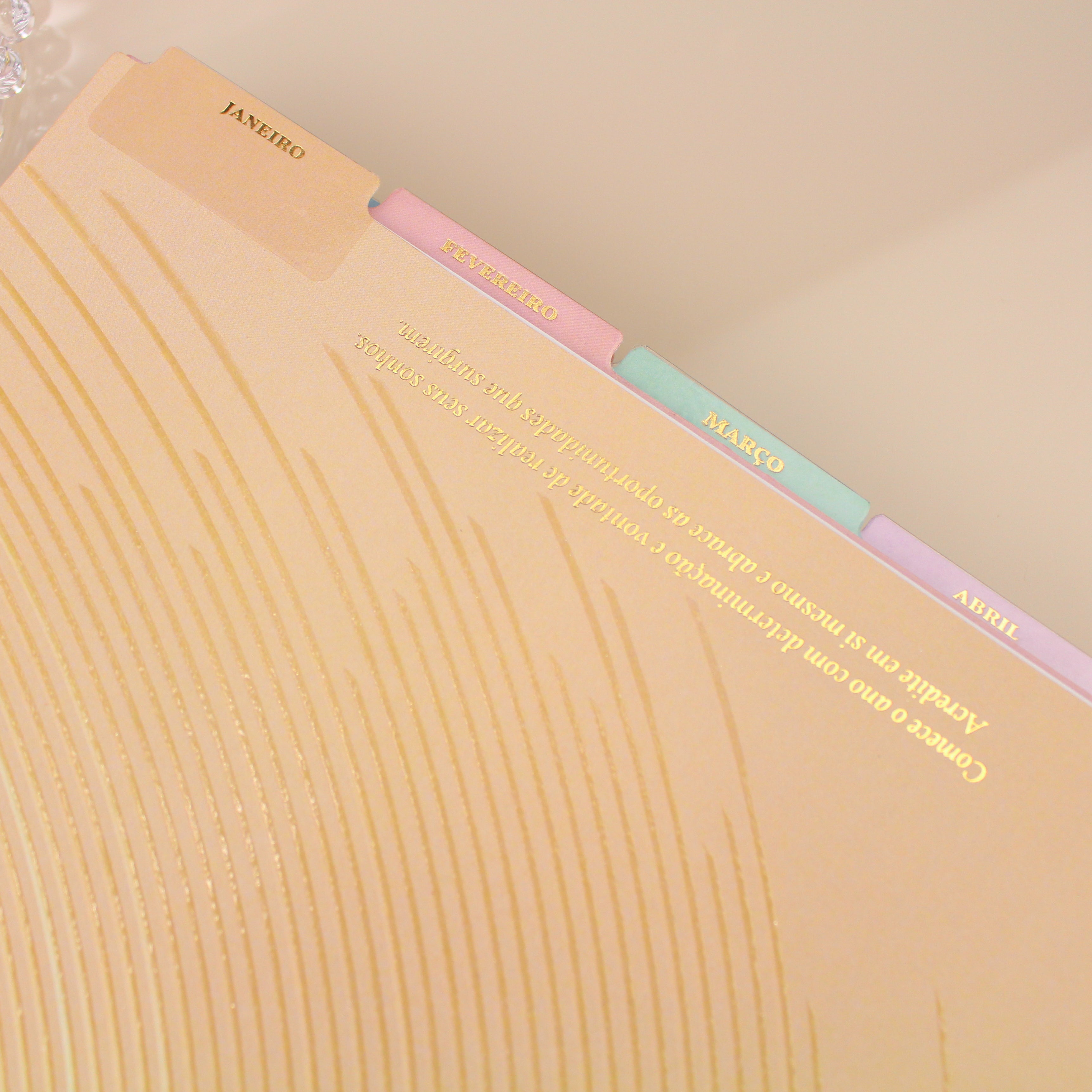 Enjoy Planner 2024 - Girl Ballet Lover (planner com acessórios inclusos - vai com + de 700 adesivos, régua, 2 blocos de notas e elástico).
