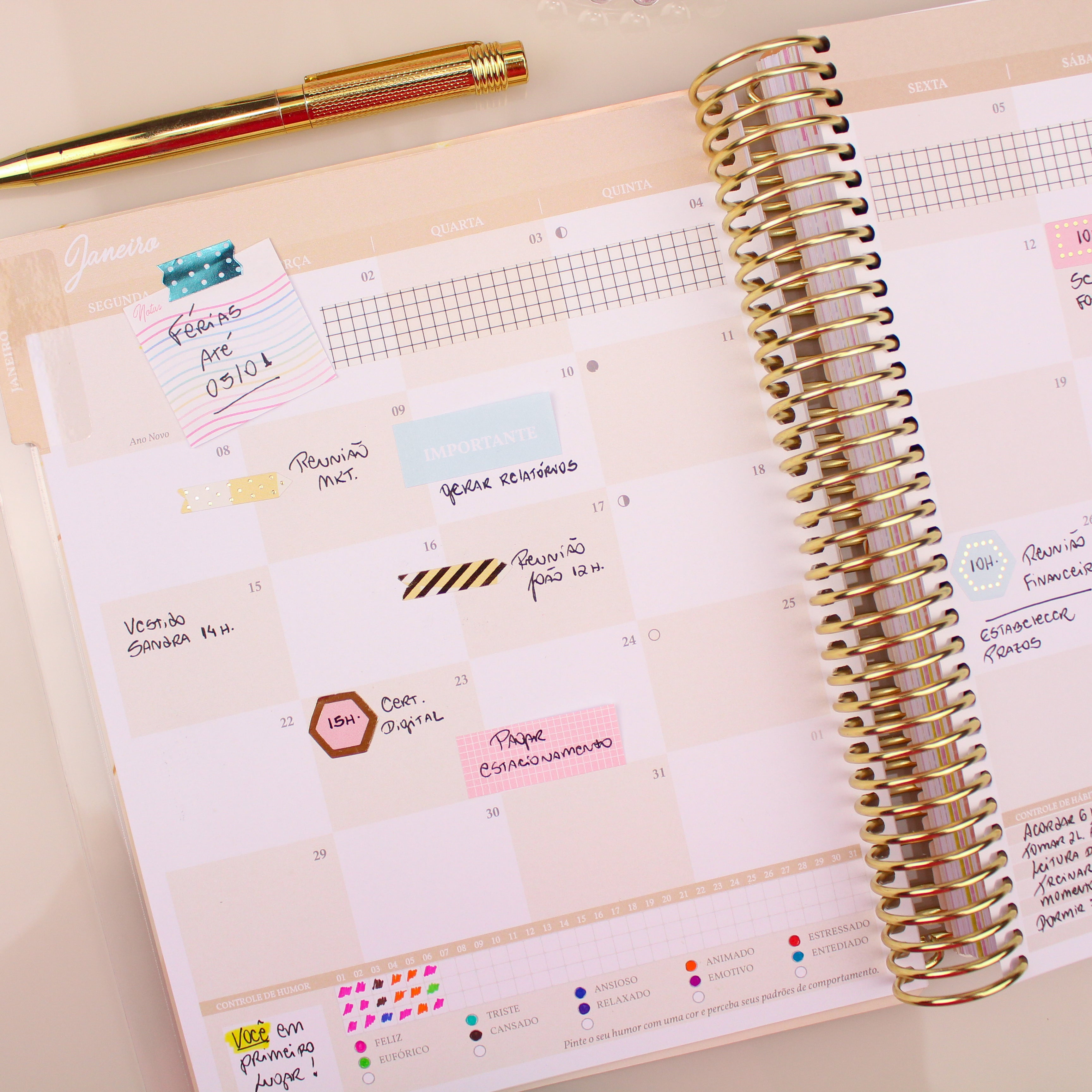 Enjoy Planner 2024 - Splendor Gold (planner com acessórios grátis - vai com + de 700 adesivos, régua, 2 blocos de notas e elástico).