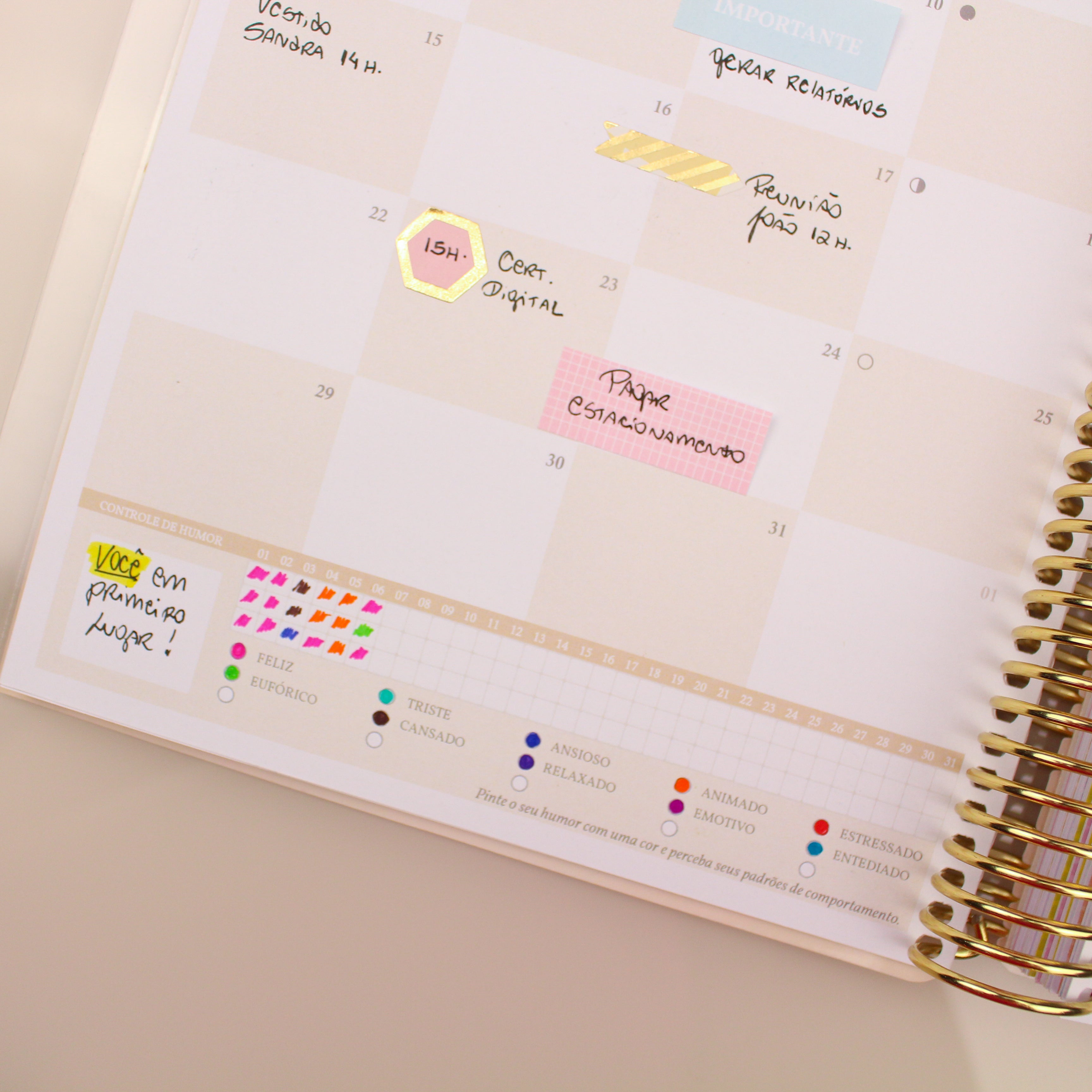 Enjoy Planner 2024 - Flower Pink Monogram (planner com acessórios inclusos - vai com + de 700 adesivos, régua, 2 blocos de notas e elástico).