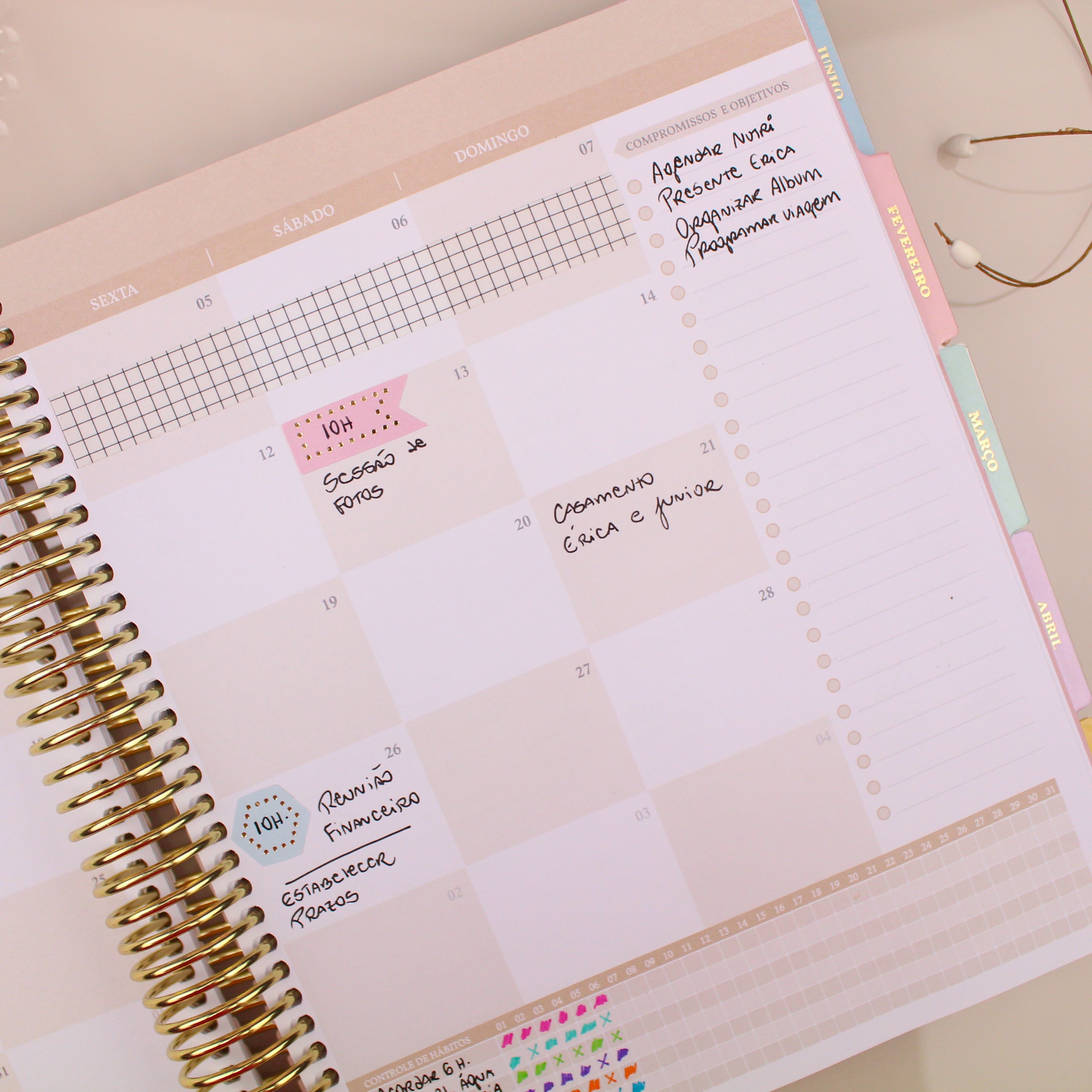 Enjoy Planner 2024- Sakura: Box Monogram (planner com acessórios grátis - vai com + de 700 adesivos, régua, 2 blocos de notas e elástico).