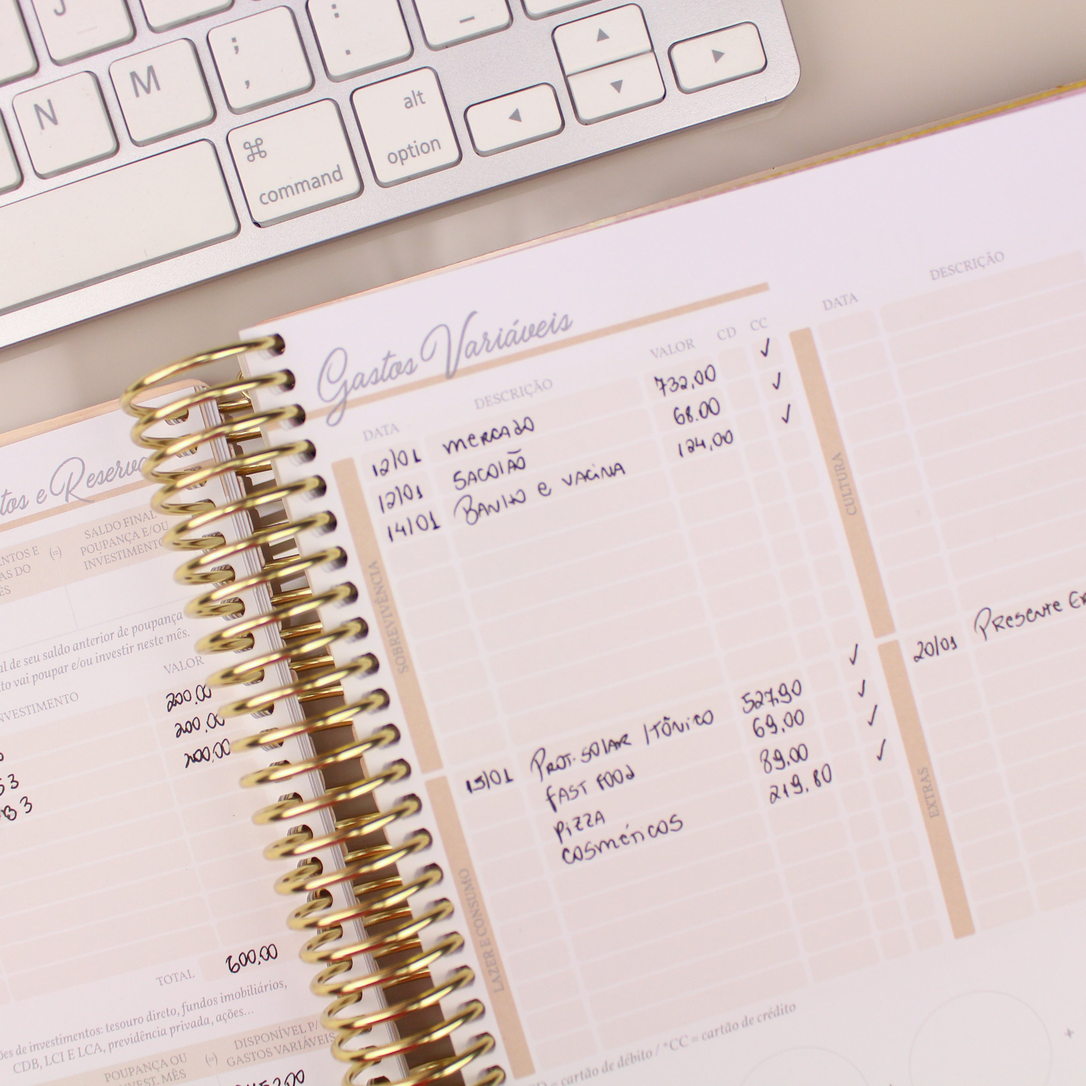 Enjoy Planner 2024 - Splendor Gold (planner com acessórios grátis - vai com + de 700 adesivos, régua, 2 blocos de notas e elástico).