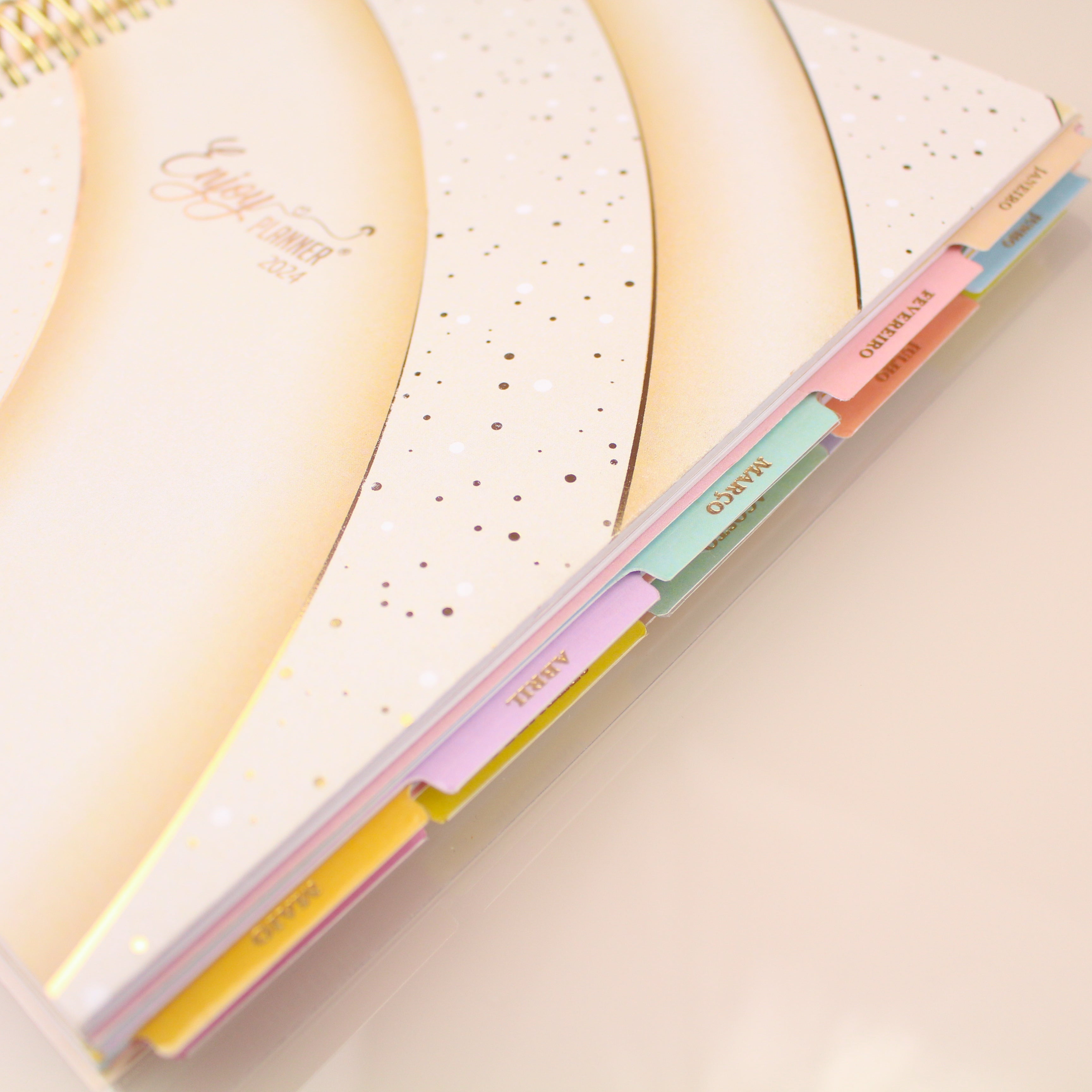 Enjoy Planner 2024 - Splendor Gold (planner com acessórios grátis - vai com + de 700 adesivos, régua, 2 blocos de notas e elástico).