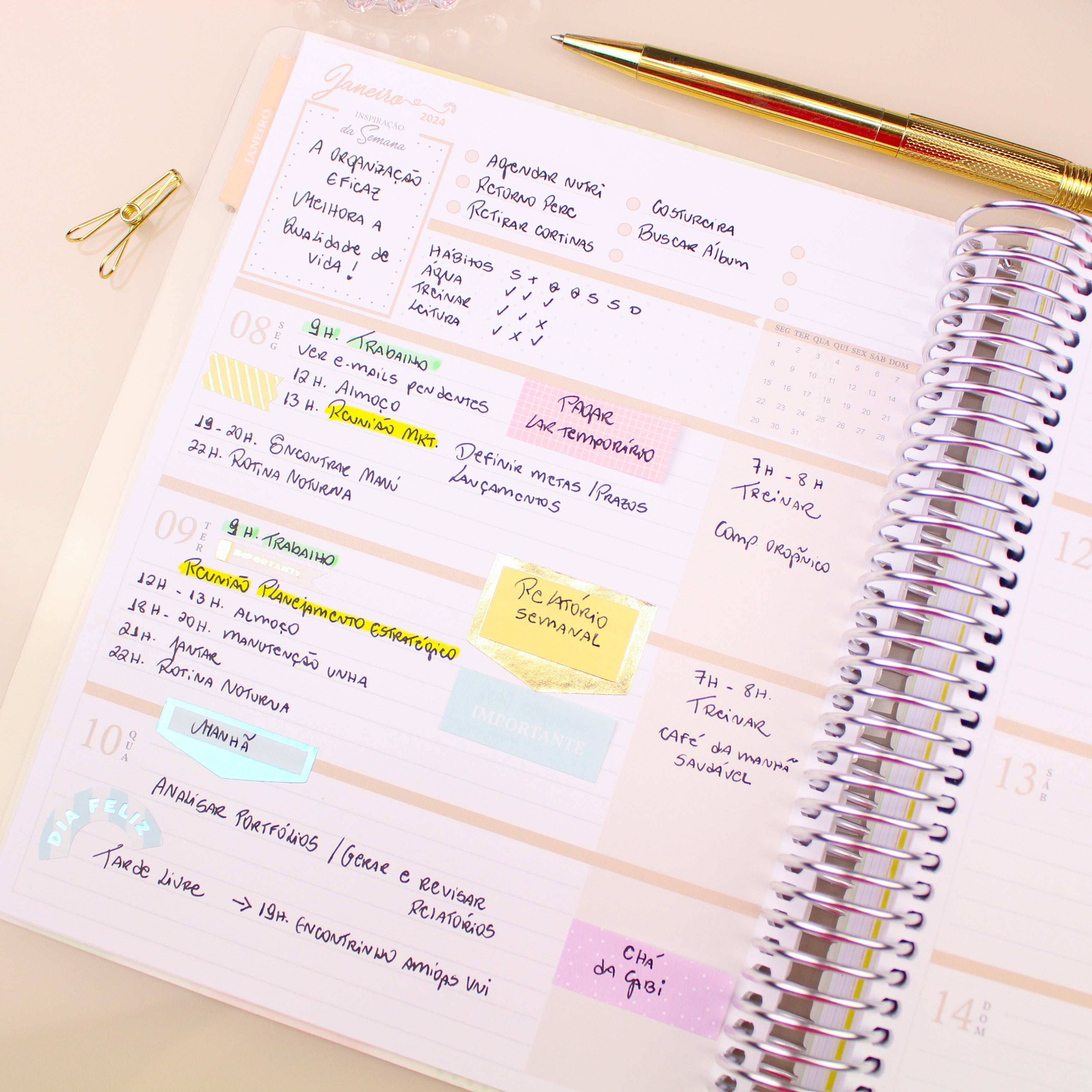 Enjoy Planner 2024 - Abstract Nude and Blue (planner com acessórios inclusos - vai com + de 700 adesivos, régua, 2 blocos de notas e elástico).