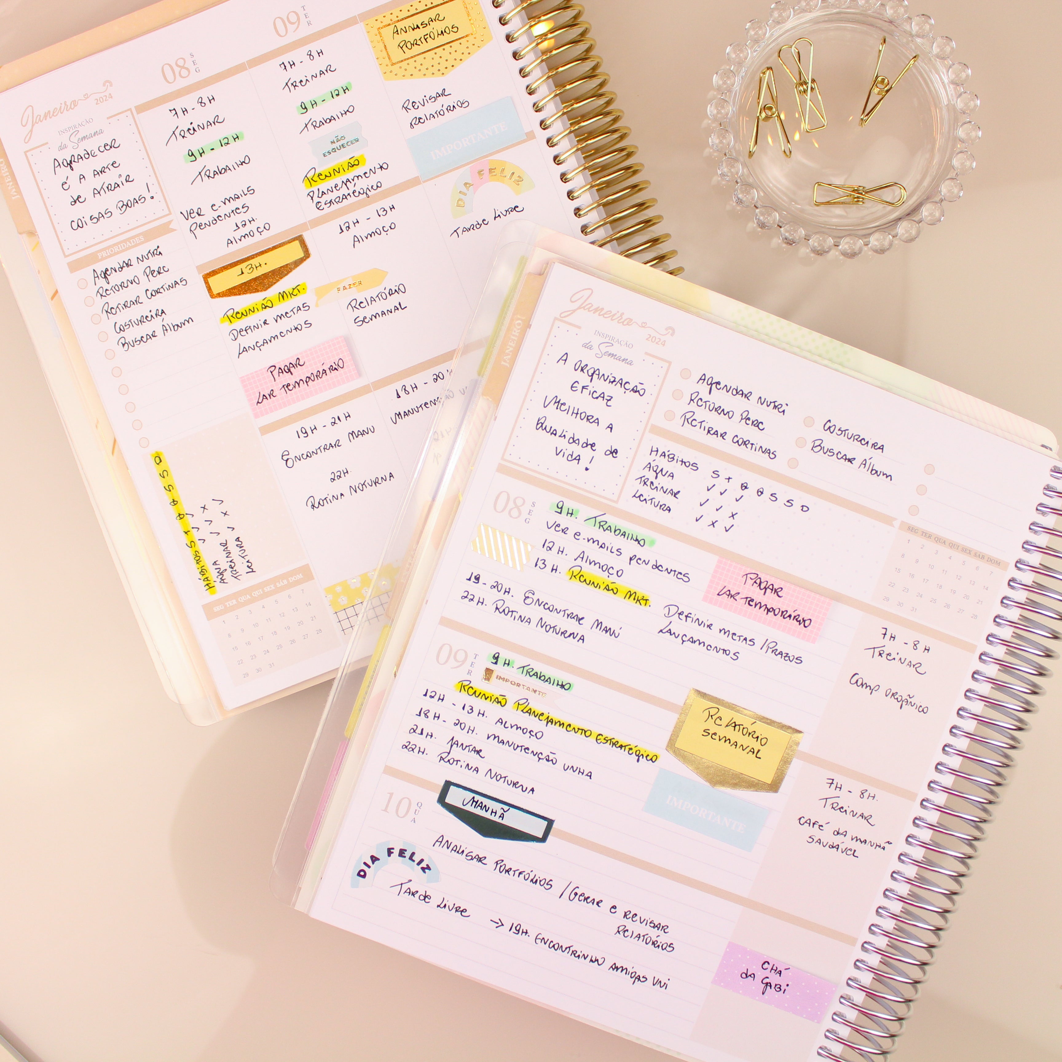 Enjoy Planner 2024 - Splendor Gold (planner com acessórios grátis - vai com + de 700 adesivos, régua, 2 blocos de notas e elástico).