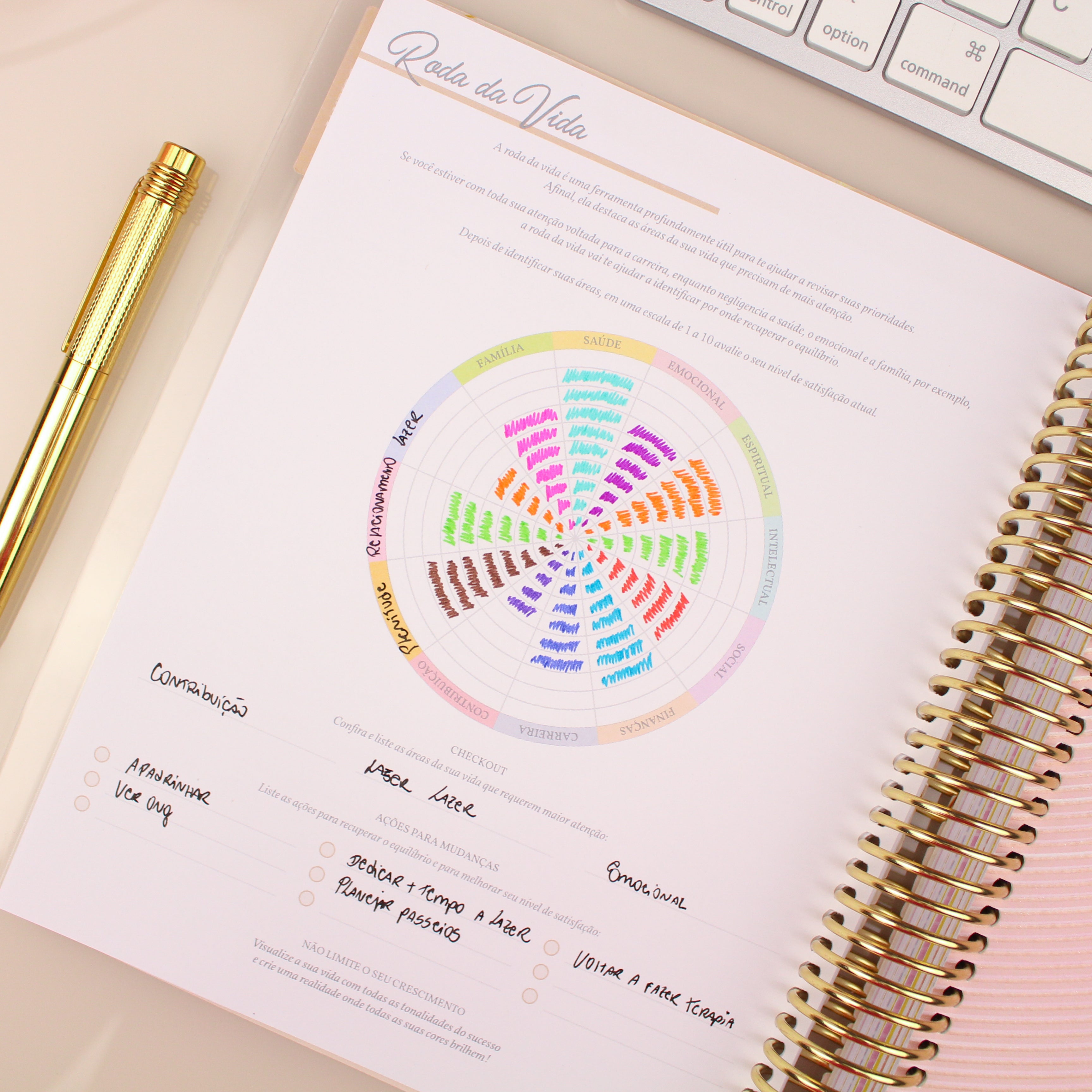 Enjoy Planner 2024- Sakura: Box Monogram (planner com acessórios grátis - vai com + de 700 adesivos, régua, 2 blocos de notas e elástico).