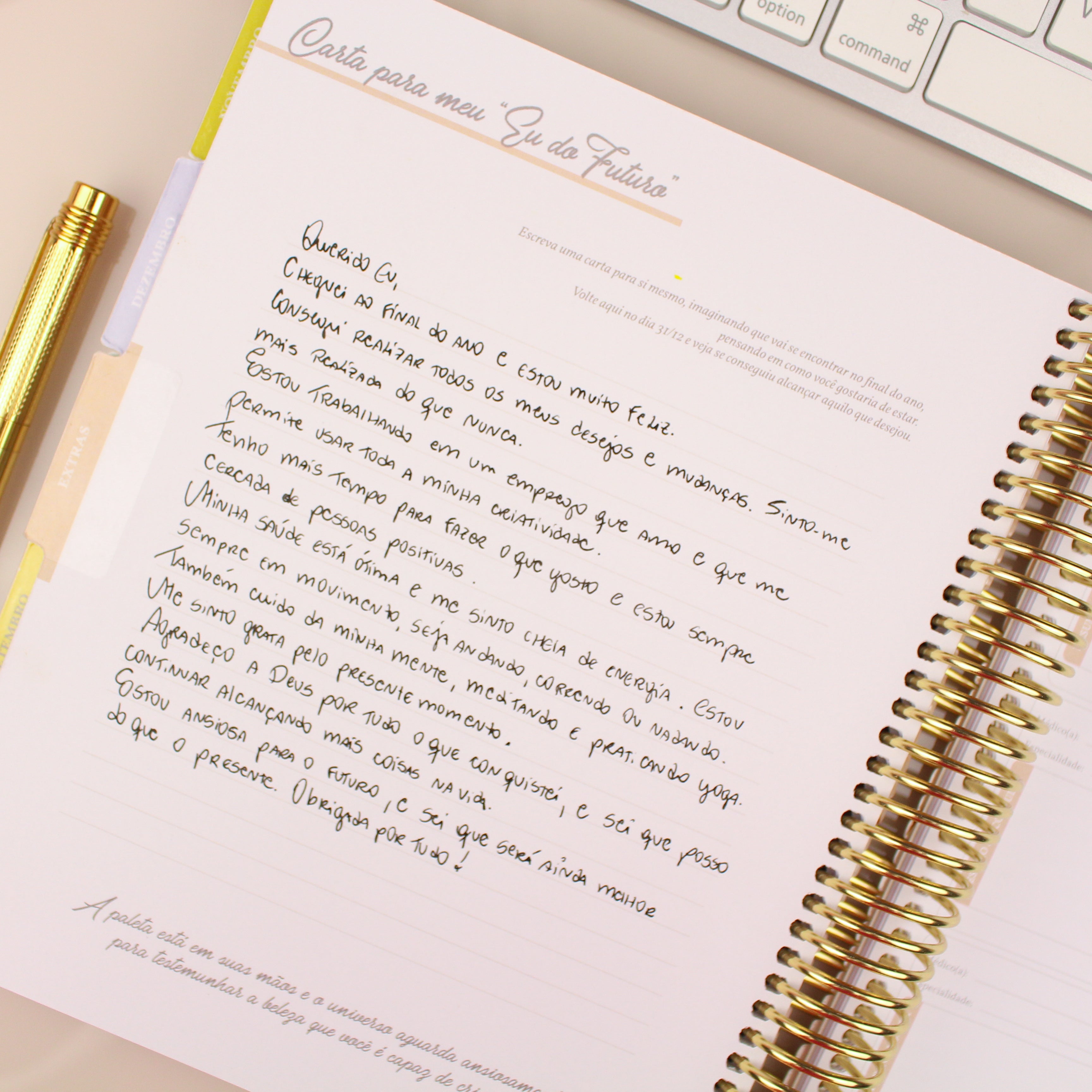 Enjoy Planner 2024 - Splendor Gold (planner com acessórios grátis - vai com + de 700 adesivos, régua, 2 blocos de notas e elástico).