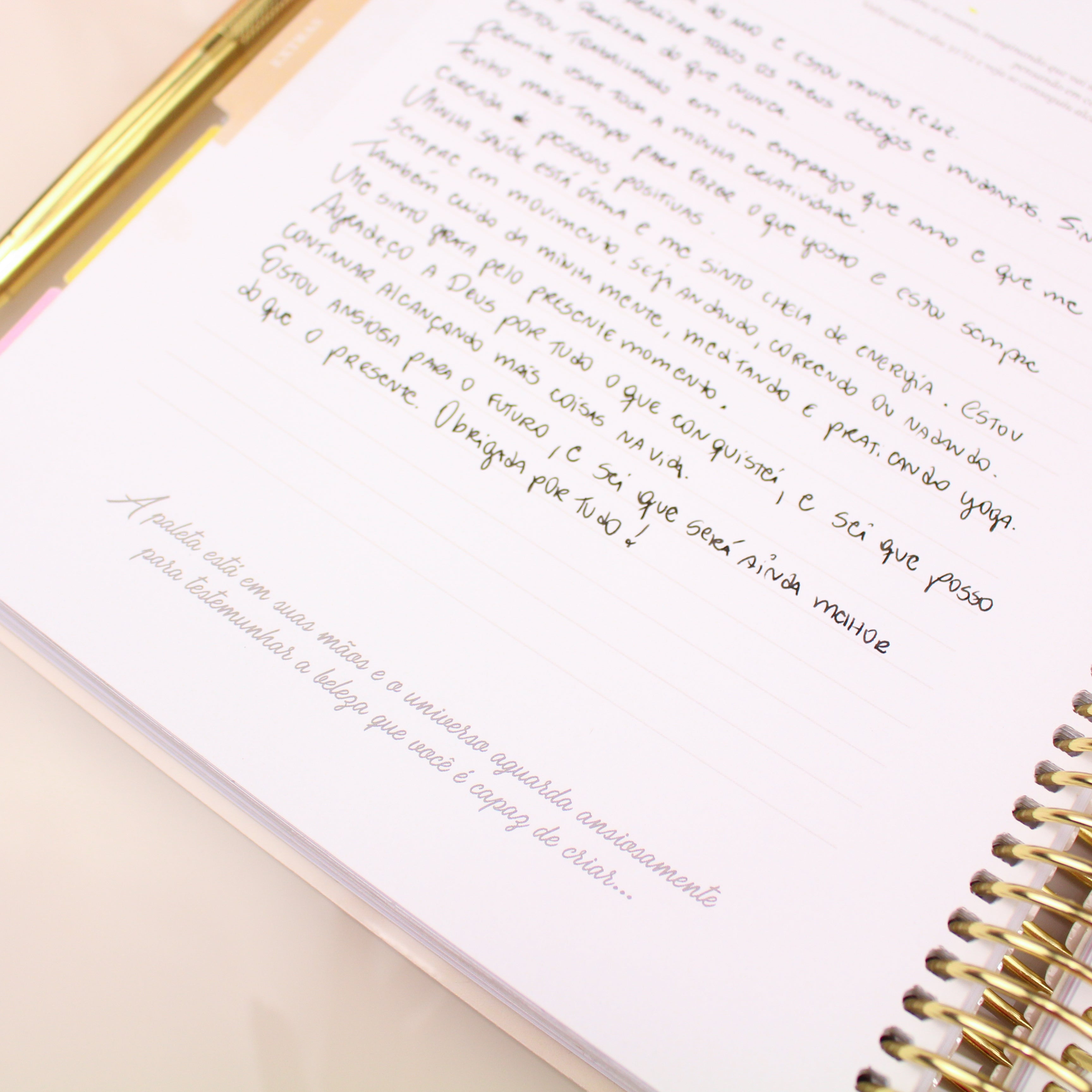 Enjoy Planner 2024 - Wildflowers (planner com acessórios grátis - vai com + de 700 adesivos, régua, 2 blocos de notas e elástico).