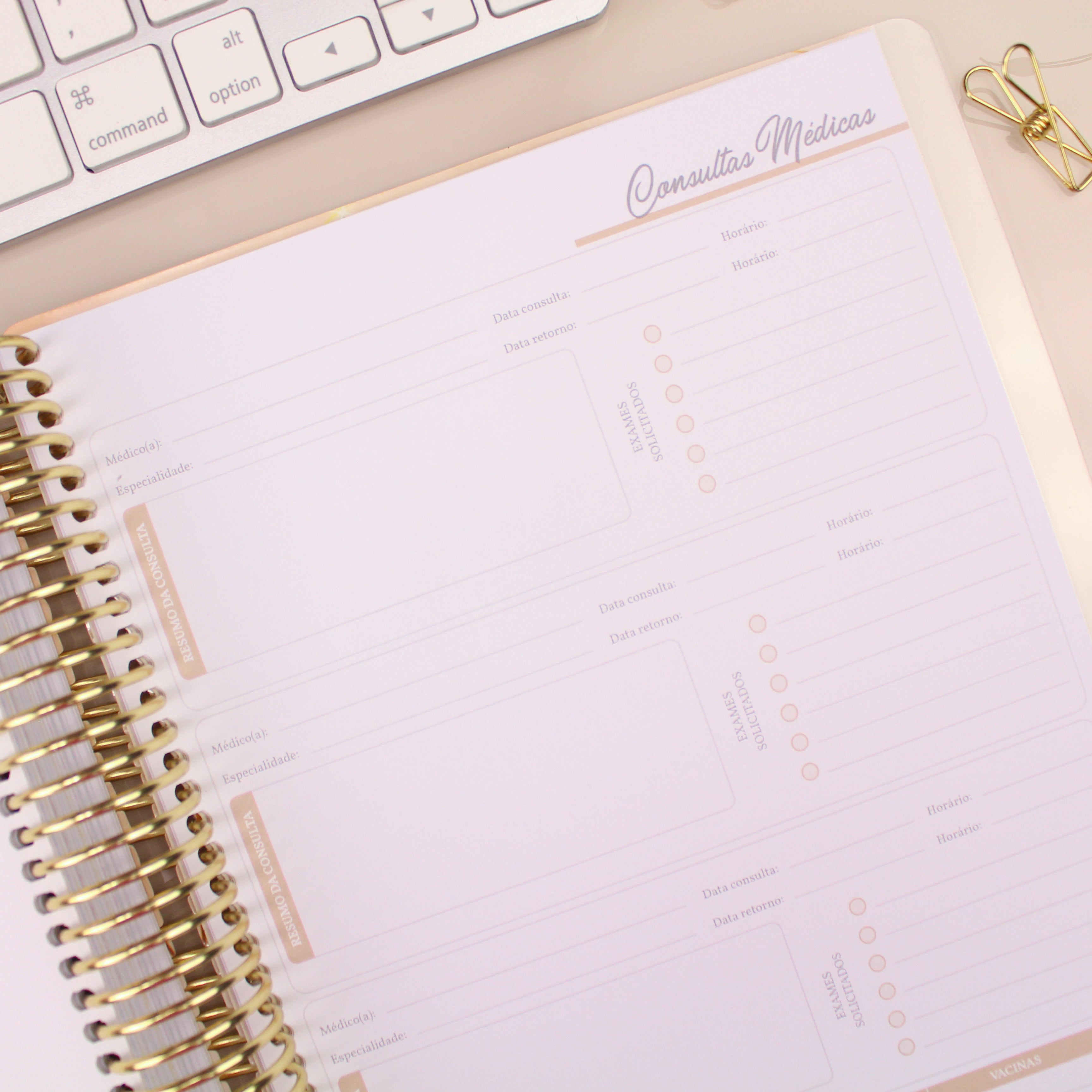 Enjoy Planner 2024 - Splendor Gold (planner com acessórios grátis - vai com + de 700 adesivos, régua, 2 blocos de notas e elástico).