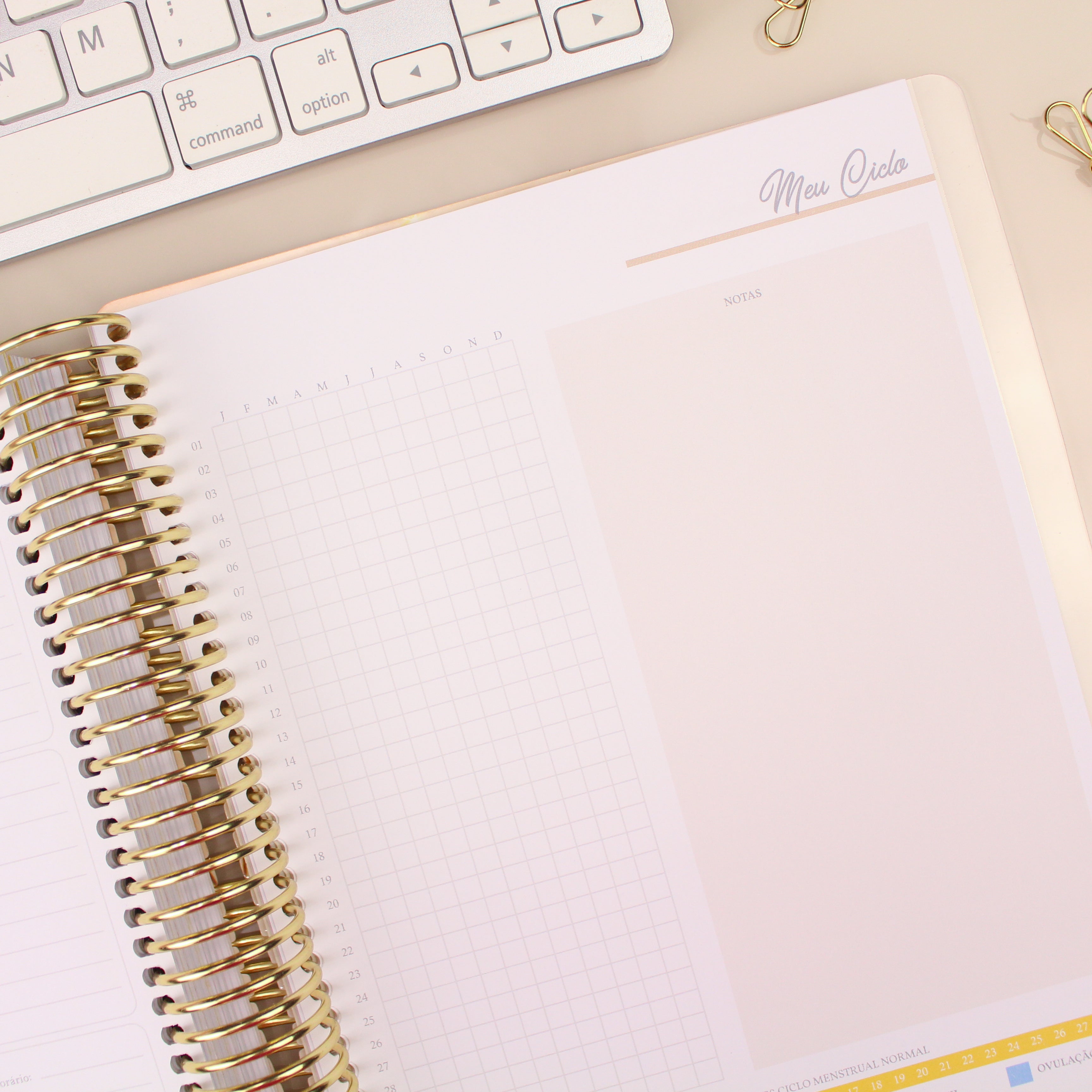 Enjoy Planner 2024 - Eu e Meu Gato - Com Foto (planner com acessórios inclusos - vai com + de 700 adesivos, régua, 2 blocos de notas e elástico).