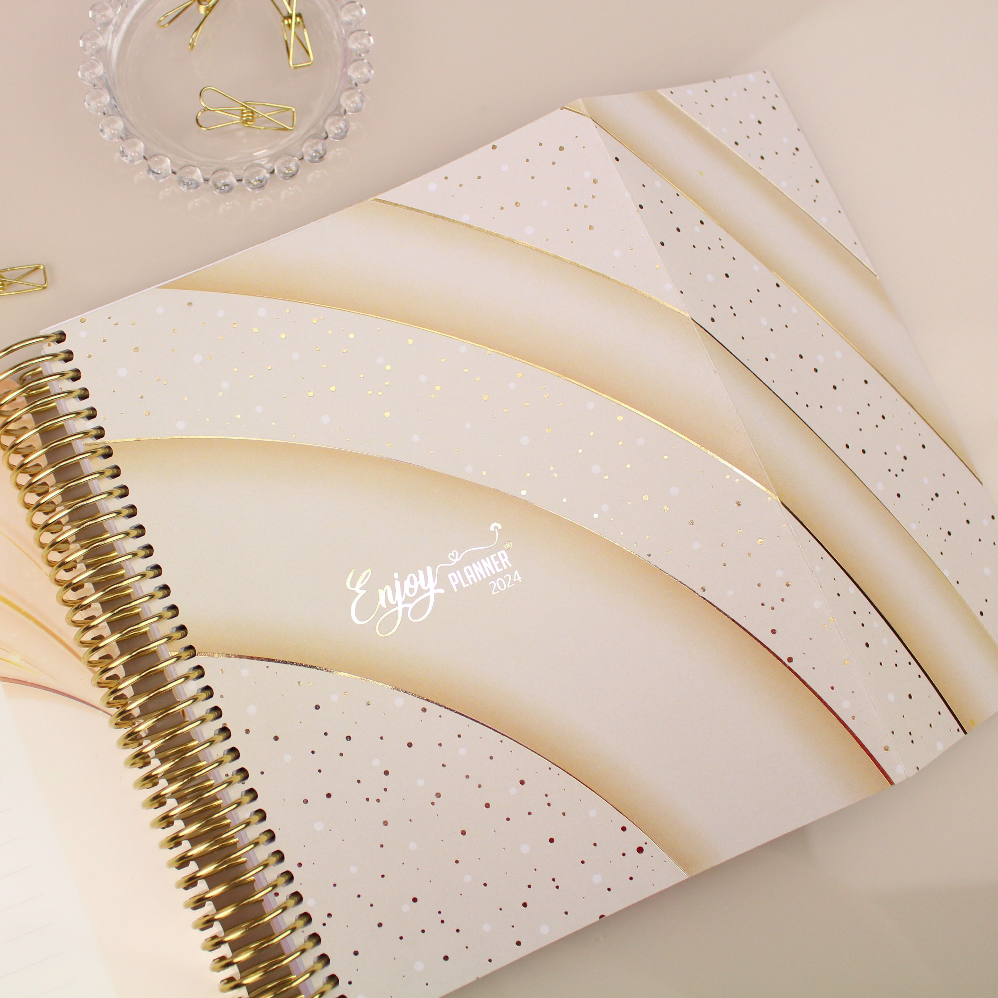 Enjoy Planner 2024 - Wildflowers: Box (planner com acessórios grátis - vai com + de 700 adesivos, régua, 2 blocos de notas e elástico).