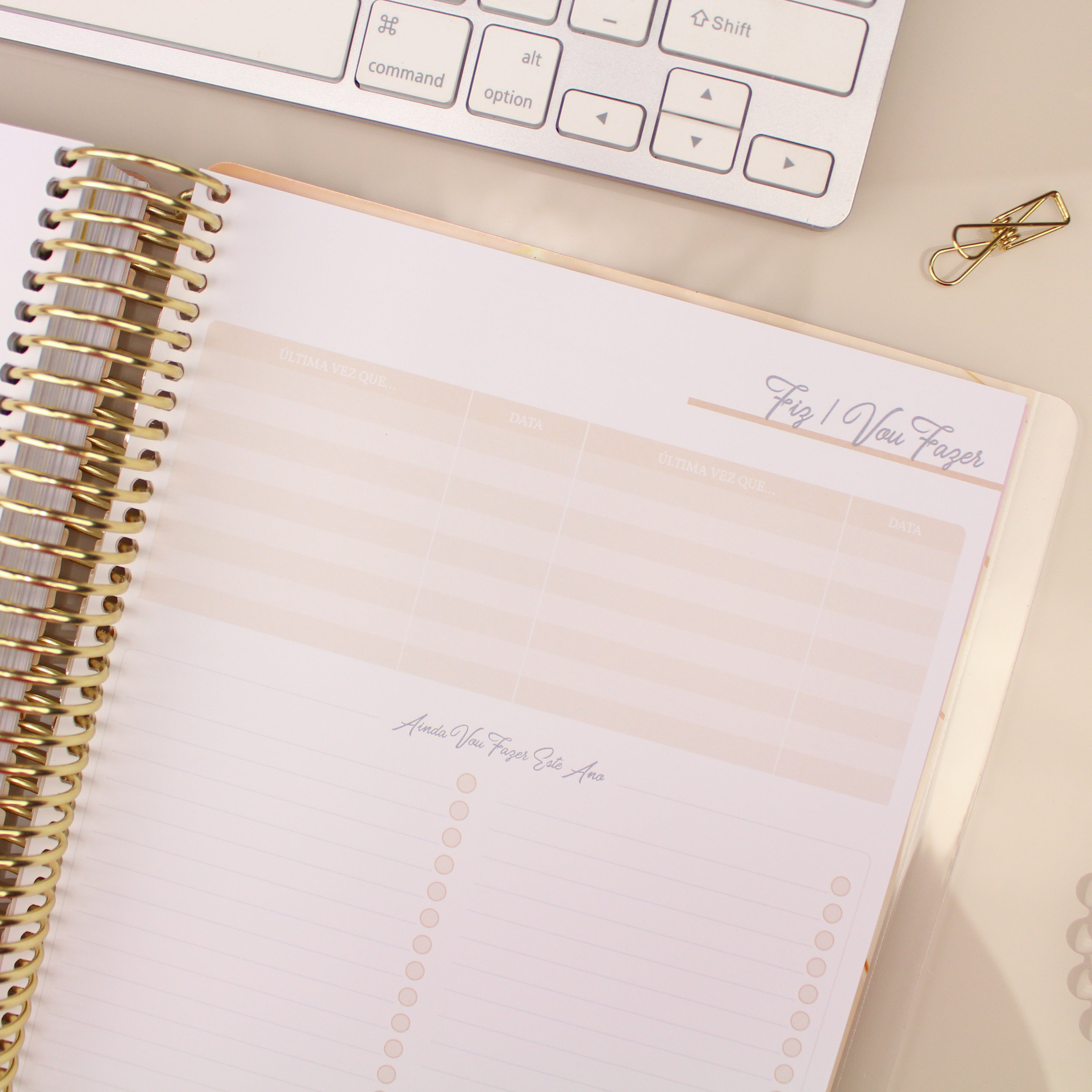 Enjoy Planner 2024 - Girl Ballet Lover (planner com acessórios inclusos - vai com + de 700 adesivos, régua, 2 blocos de notas e elástico).