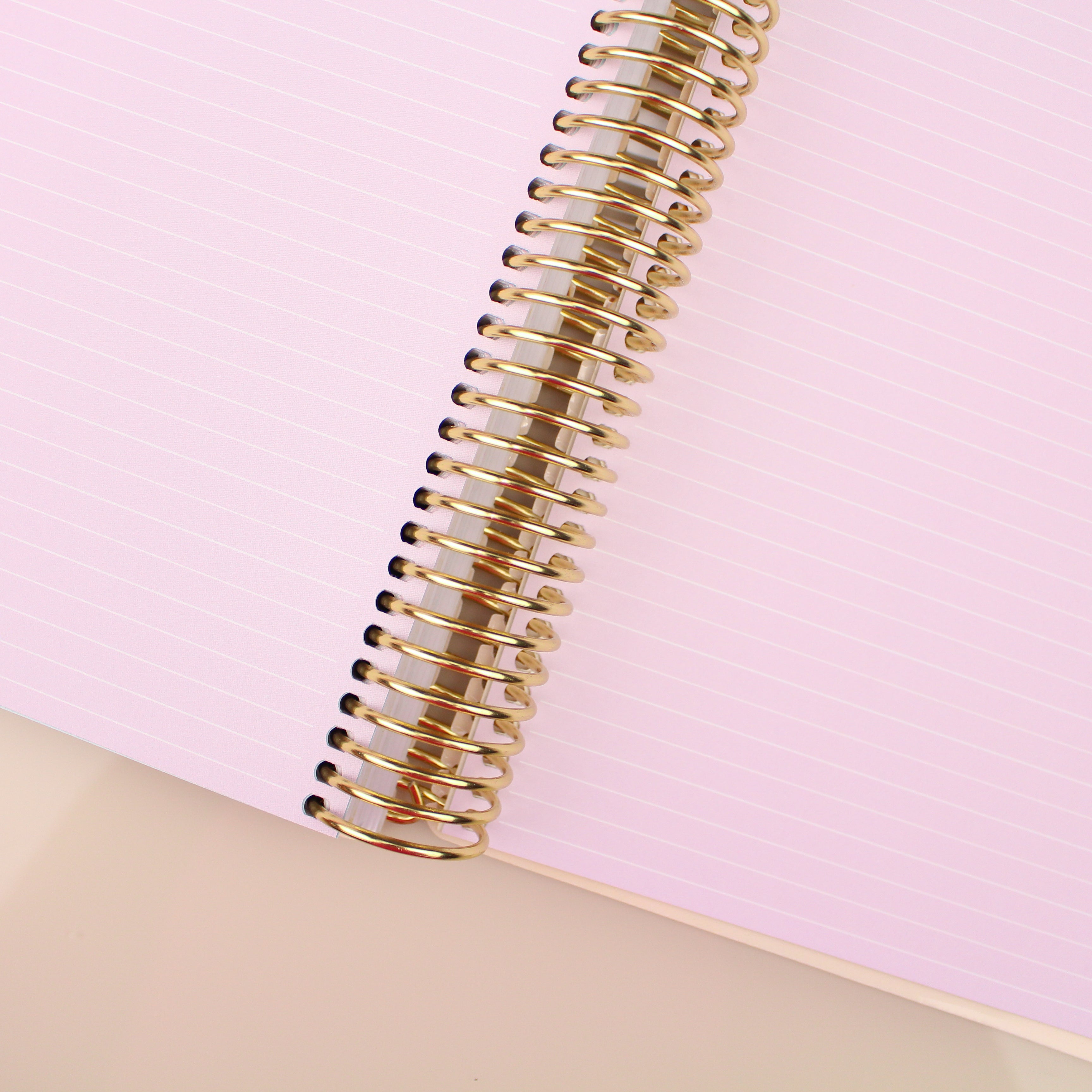 Enjoy Planner 2024 - Girl Ballet Lover (planner com acessórios inclusos - vai com + de 700 adesivos, régua, 2 blocos de notas e elástico).