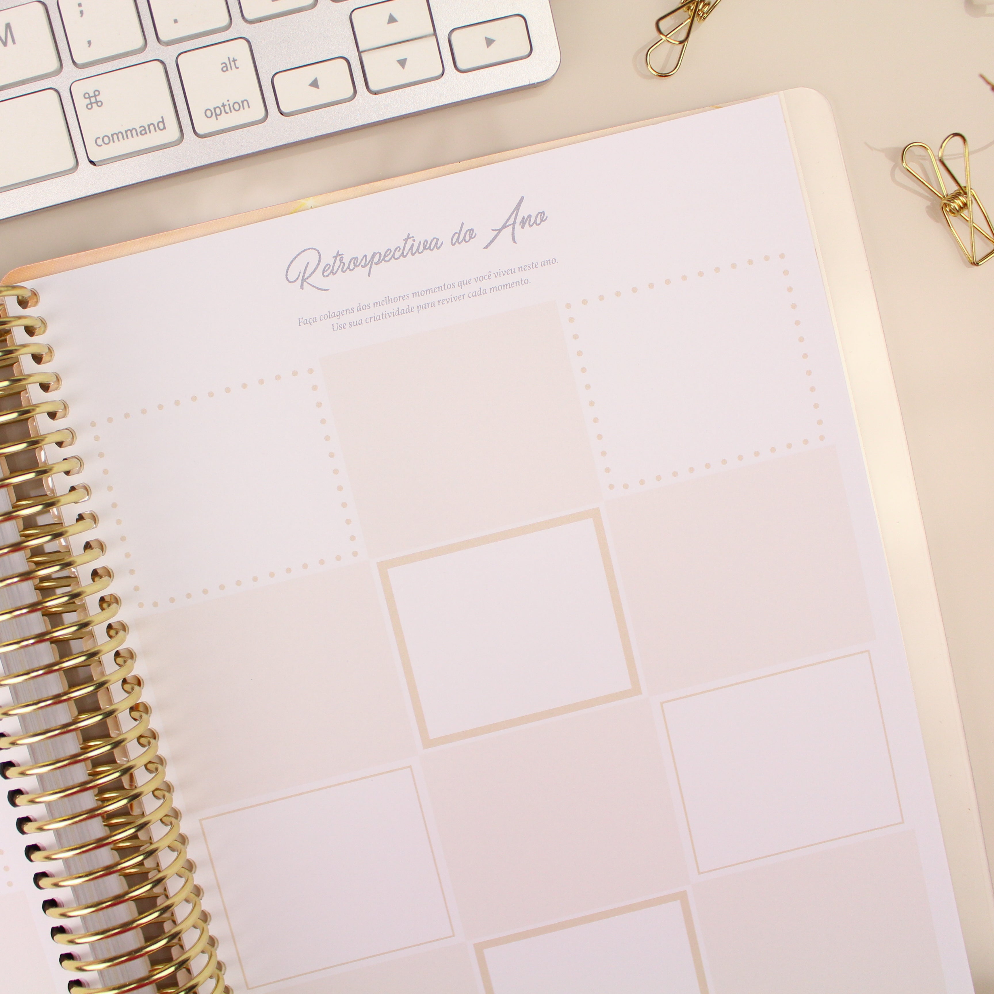 Enjoy Planner 2024 - Wildflower Whispers Colors (planner com acessórios grátis - vai com + de 700 adesivos, régua, 2 blocos de notas e elástico).