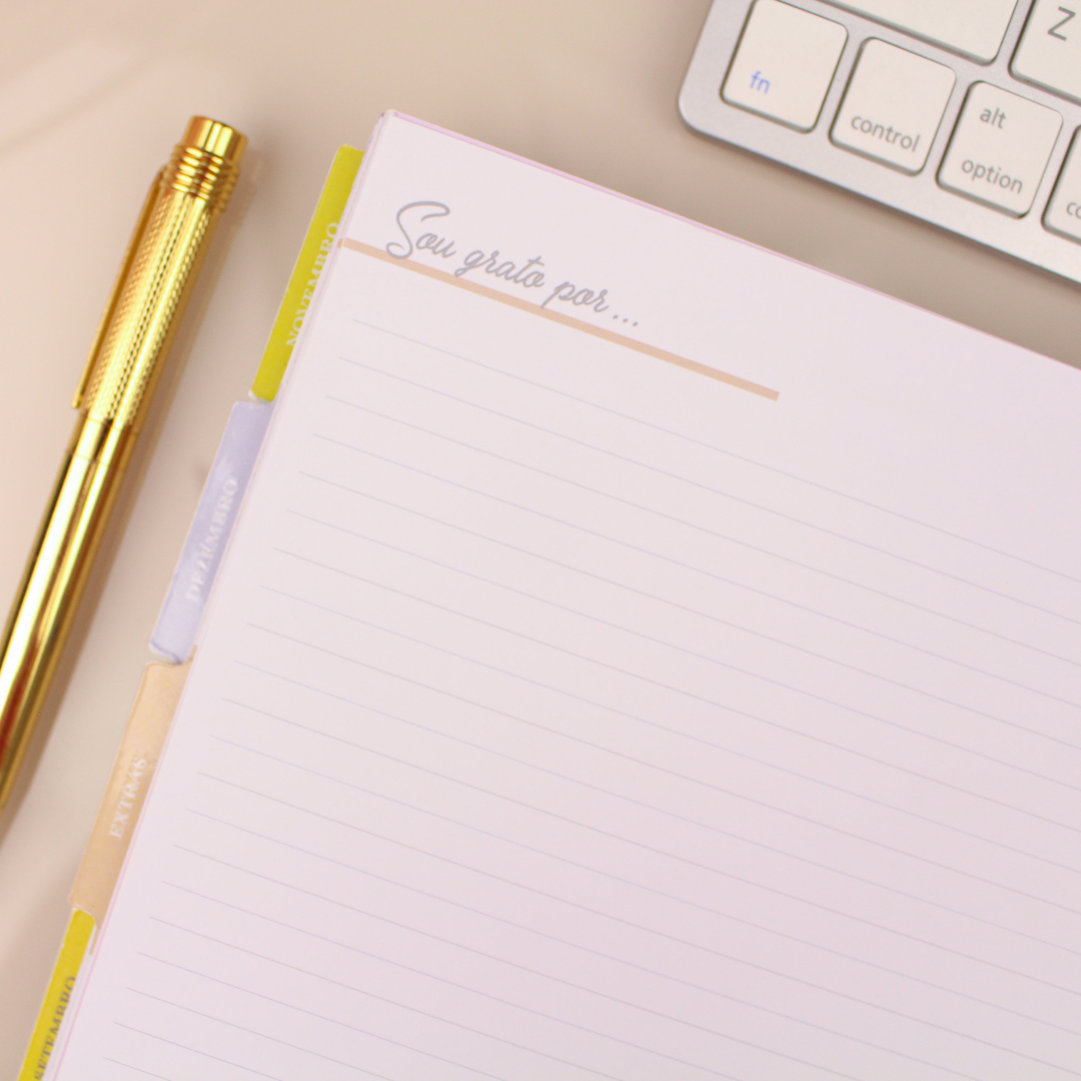 Enjoy Planner 2024 - Splendor Gold (planner com acessórios grátis - vai com + de 700 adesivos, régua, 2 blocos de notas e elástico).