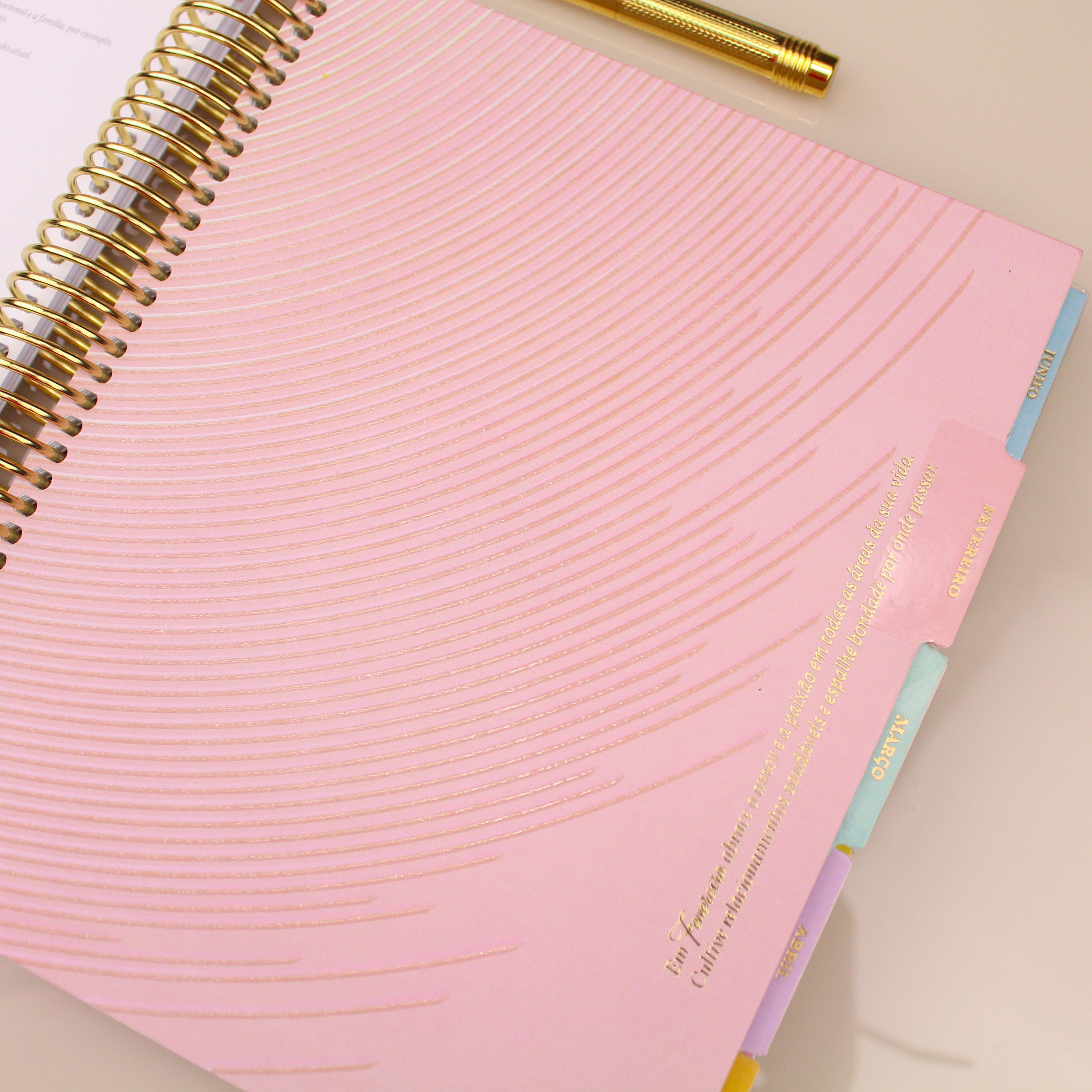 Enjoy Planner 2024 - Marble Pink and Blue (planner com acessórios grátis - vai com + de 700 adesivos, régua, 2 blocos de notas e elástico).