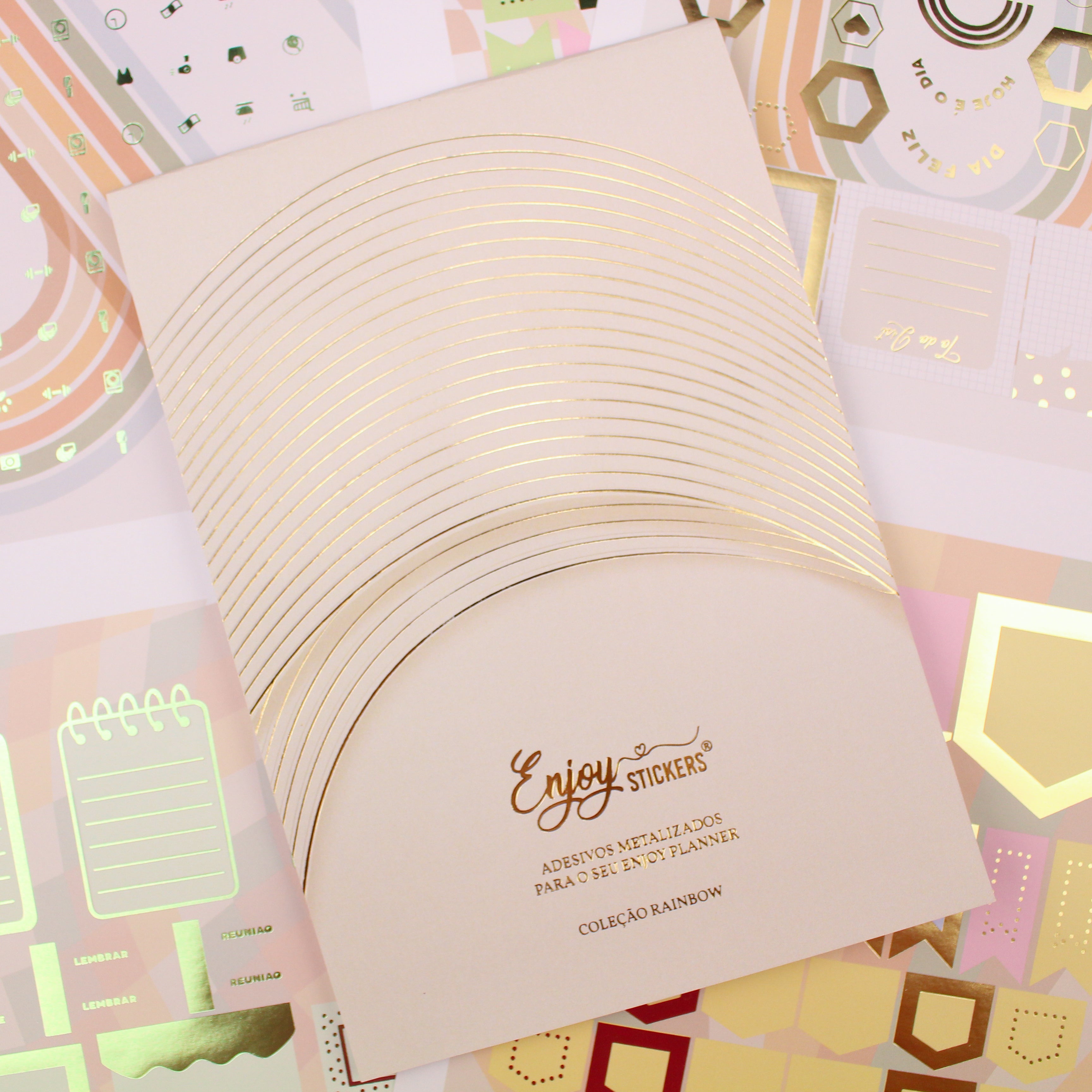 Enjoy Planner 2024 - Girl Ballet Lover (planner com acessórios inclusos - vai com + de 700 adesivos, régua, 2 blocos de notas e elástico).