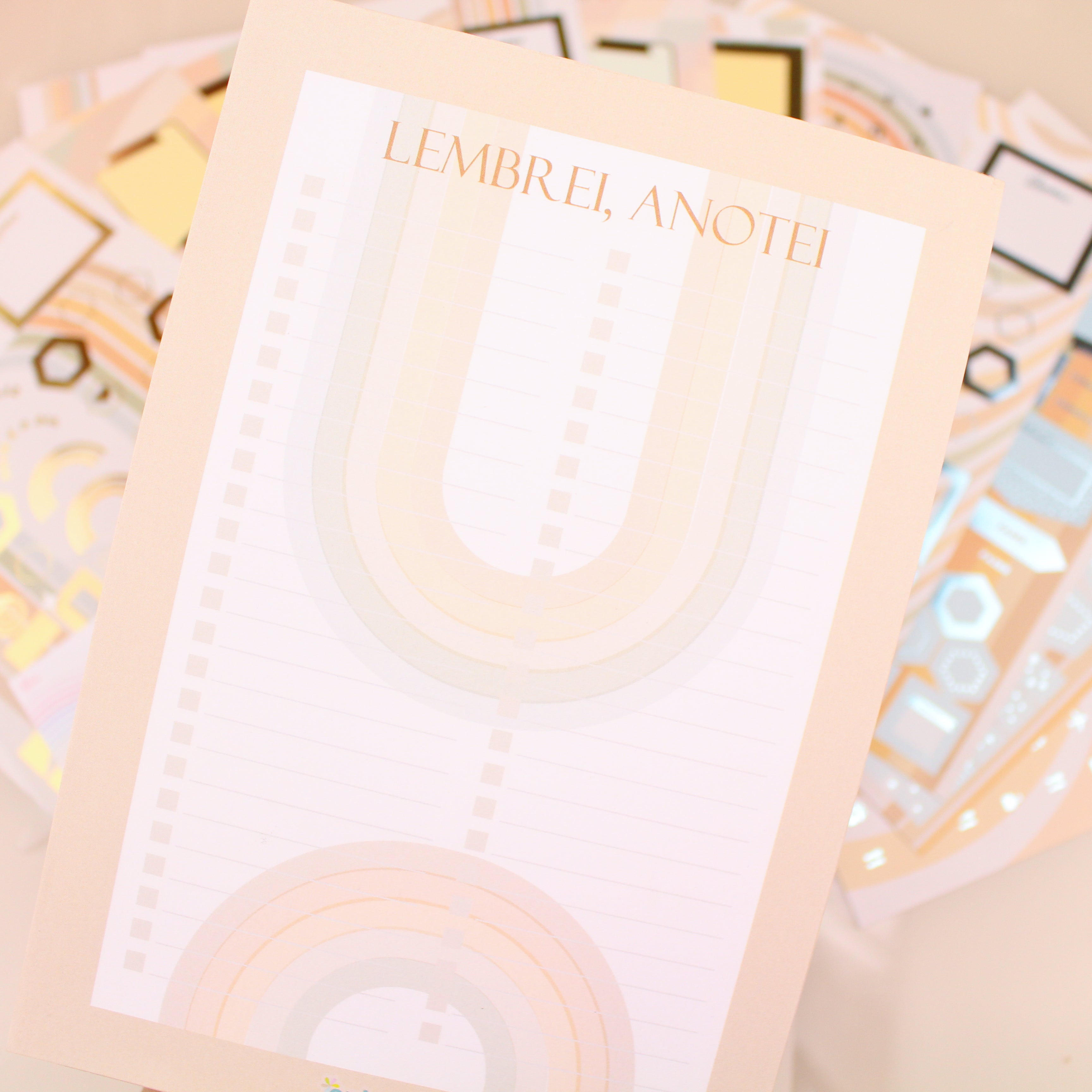 Enjoy Planner 2024 - Girl Ballet Lover (planner com acessórios inclusos - vai com + de 700 adesivos, régua, 2 blocos de notas e elástico).