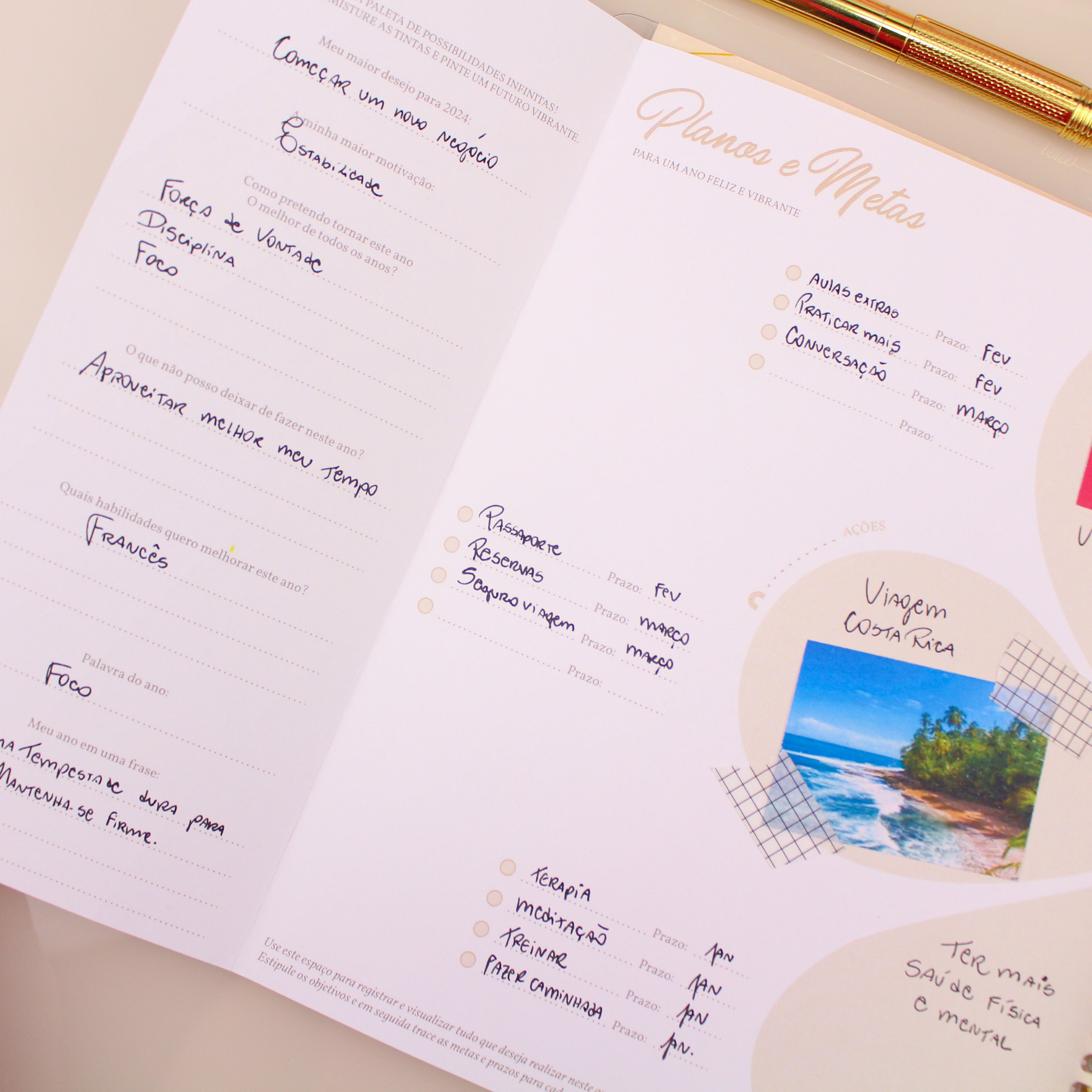 Enjoy Planner 2024- Sakura: Box Monogram (planner com acessórios grátis - vai com + de 700 adesivos, régua, 2 blocos de notas e elástico).