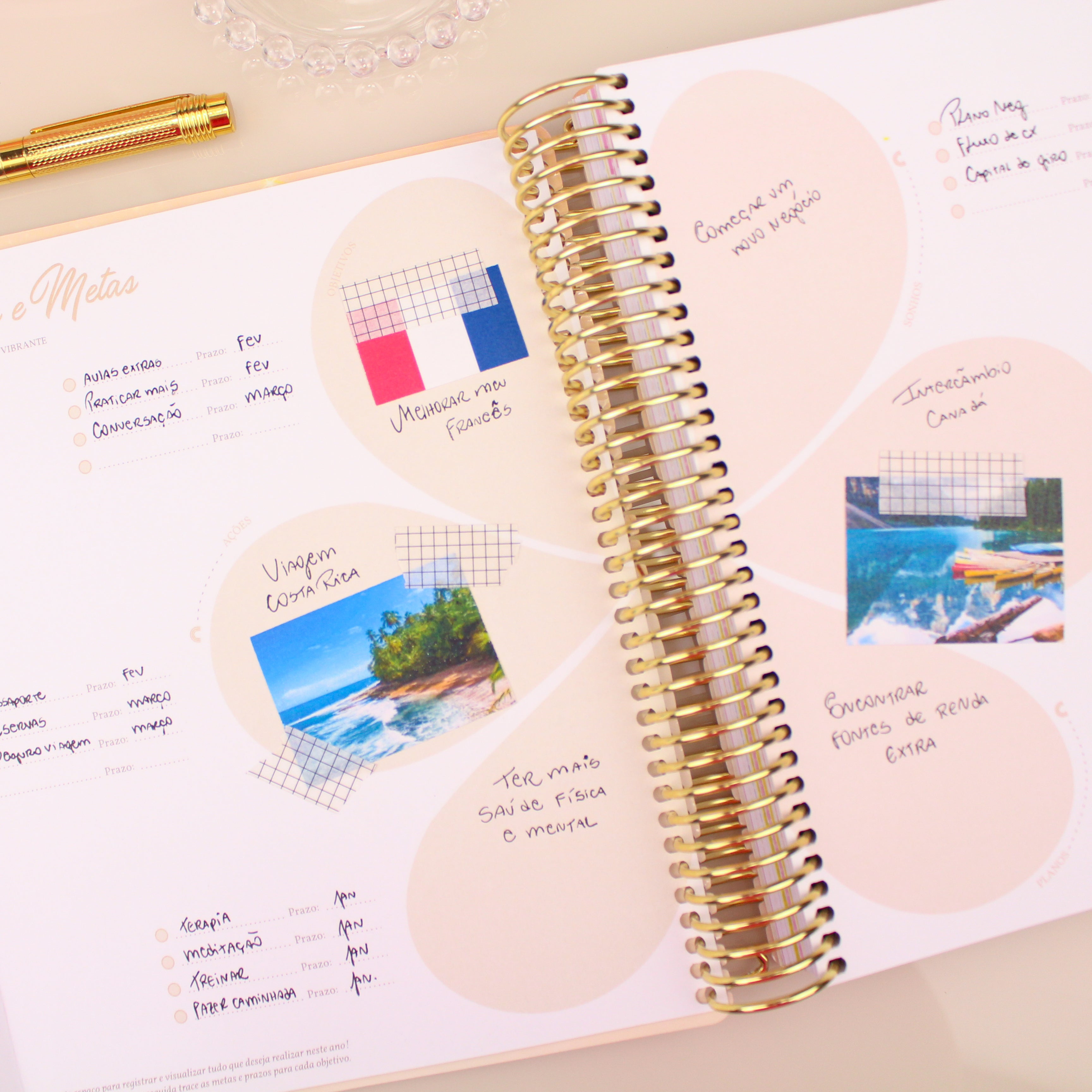 Enjoy Planner 2024 - Girl Ballet Lover (planner com acessórios inclusos - vai com + de 700 adesivos, régua, 2 blocos de notas e elástico).