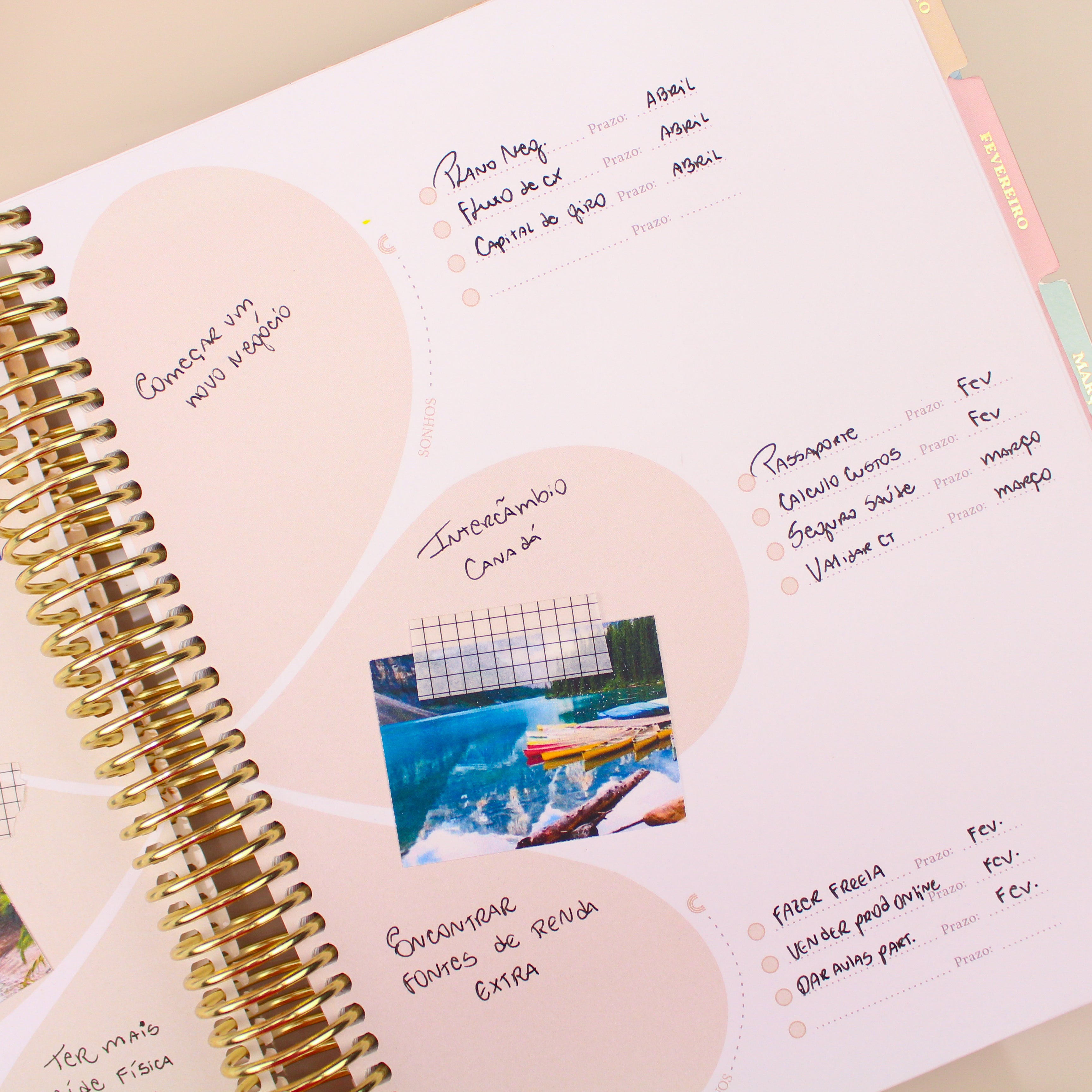 Enjoy Planner 2024 - Eu e Meu Gato - Com Foto (planner com acessórios inclusos - vai com + de 700 adesivos, régua, 2 blocos de notas e elástico).