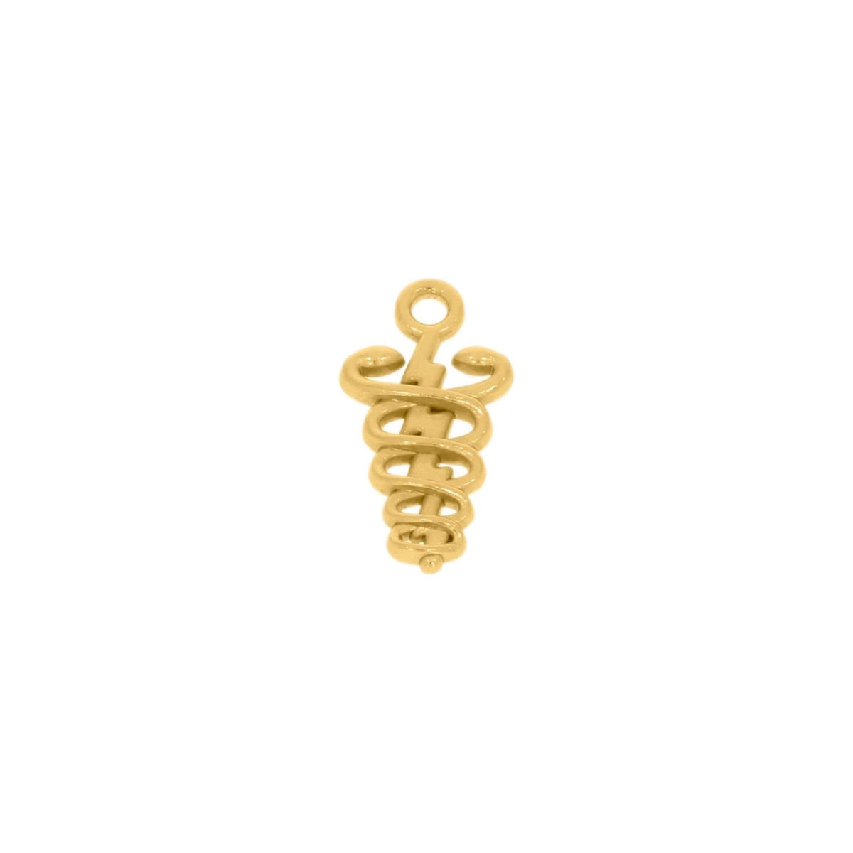 Pingente Profissões Fisioterapia 19mm