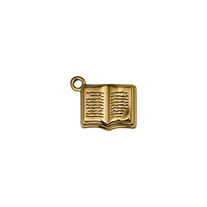Pingente Livro 20mm