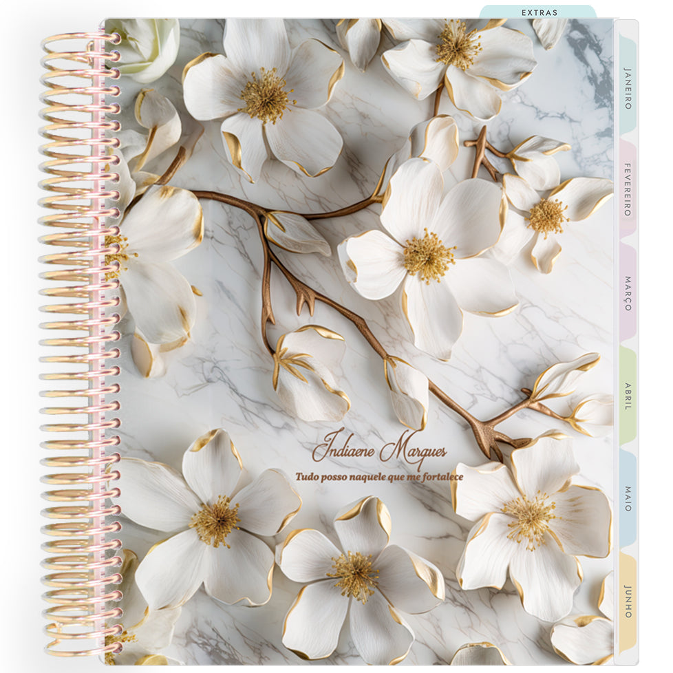 Planner Personalizado Radiance - Branch.cdr - Dourado