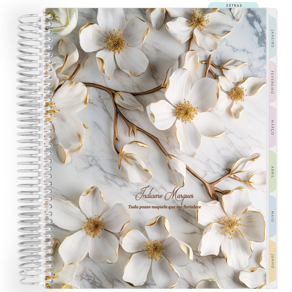 Planner Personalizado Radiance - Branch.cdr - Prateado