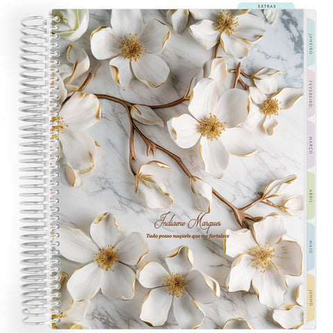 Planner Personalizado Radiance - Branch.cdr - Prateado