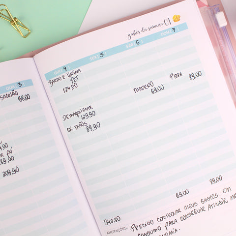 Candy Planner - Miolos Planner Financeiro (capa de couro não incluído)